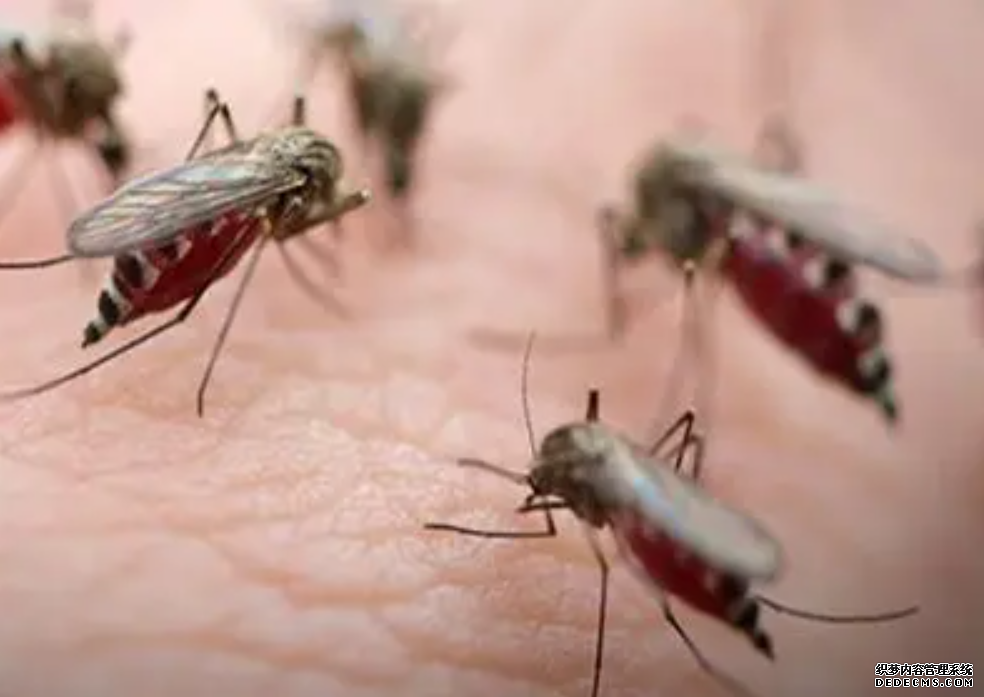 一种新型药杏耀平台浸蚊帐有助抗击疟疾