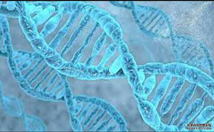 杏耀代理人体细胞内存在全新DNA结构
