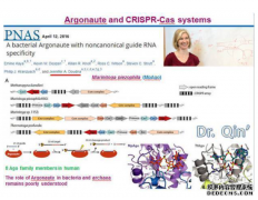 <b>卡夫里奖授予杏耀注册CRISPR研究人员</b>