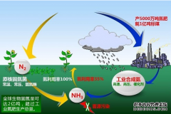 <b> 植物固氮成本不菲杏耀手机客户端</b>