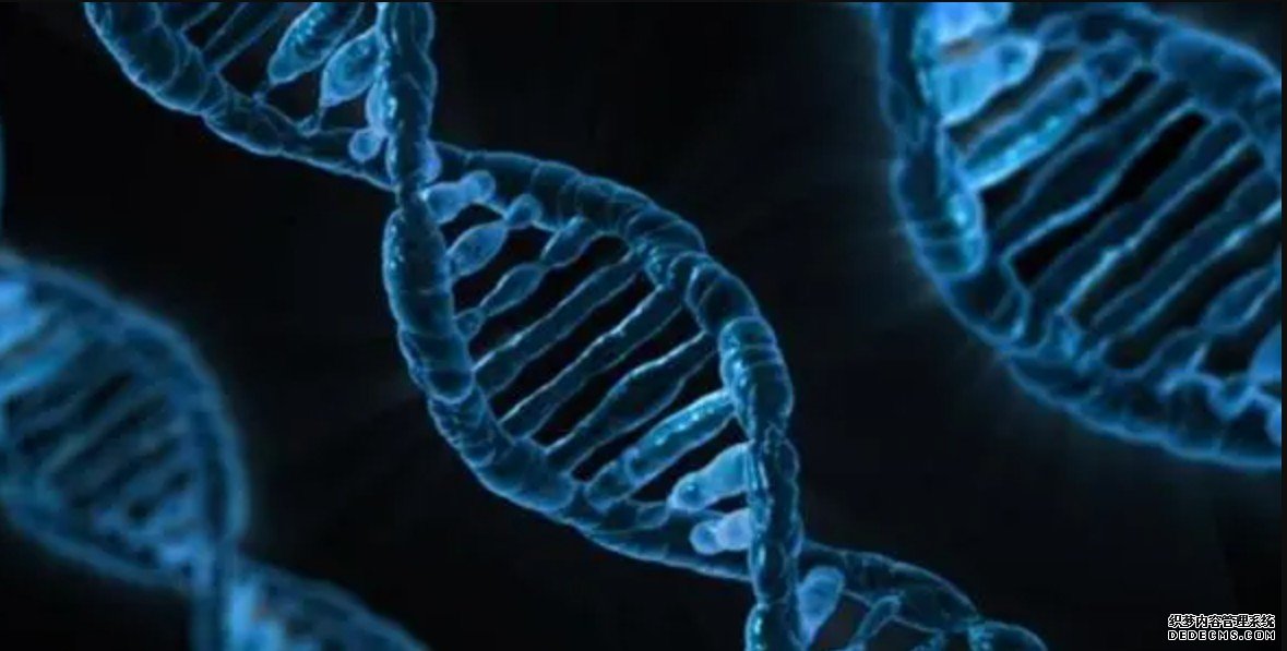 美日创建迄今最大DNA基因模型杏耀代理