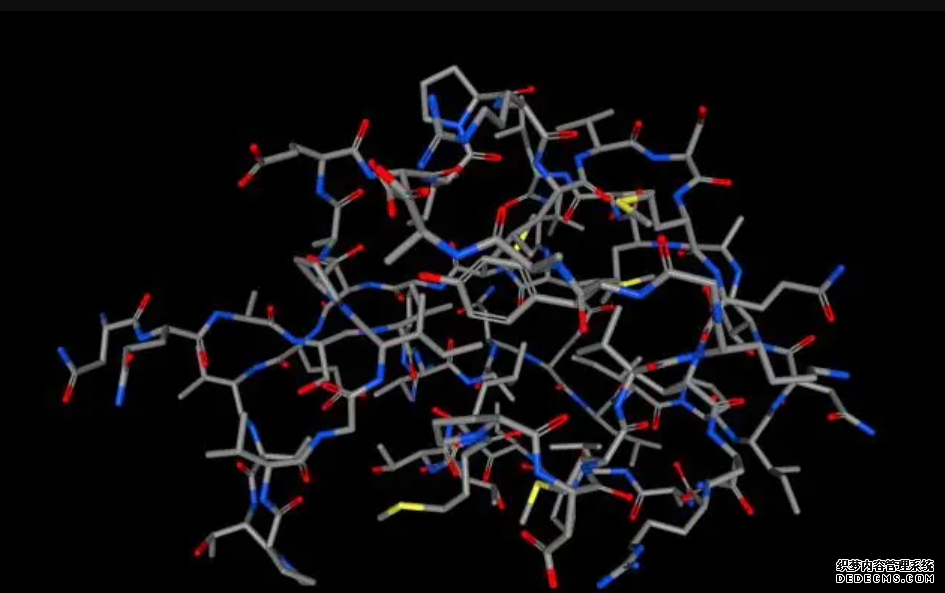 科学家摸清杏耀平台抗冻蛋白分子结构