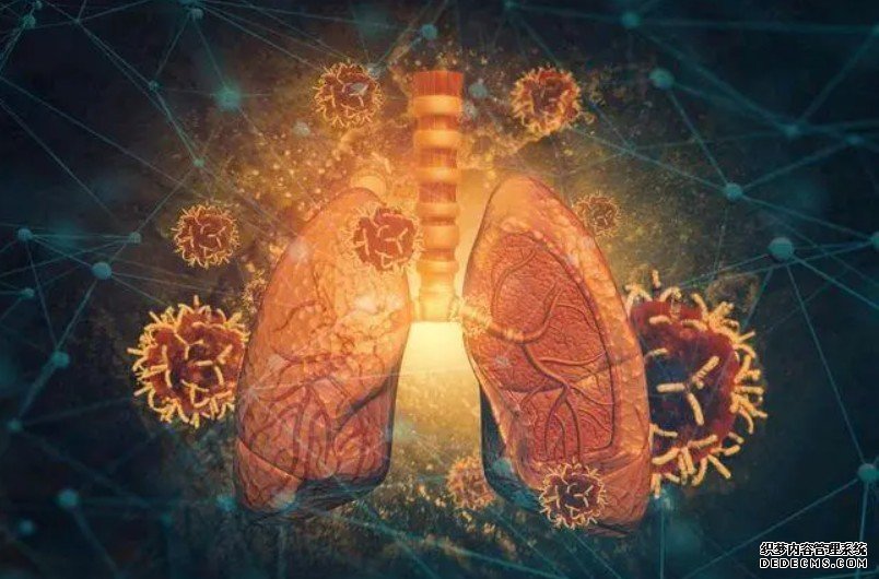 人类肺部发现拥有再生特性新细胞杏耀平台