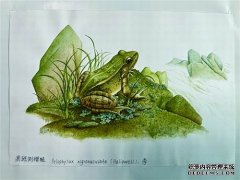 <b>生物研究所里的“神笔马良”杏耀平台</b>