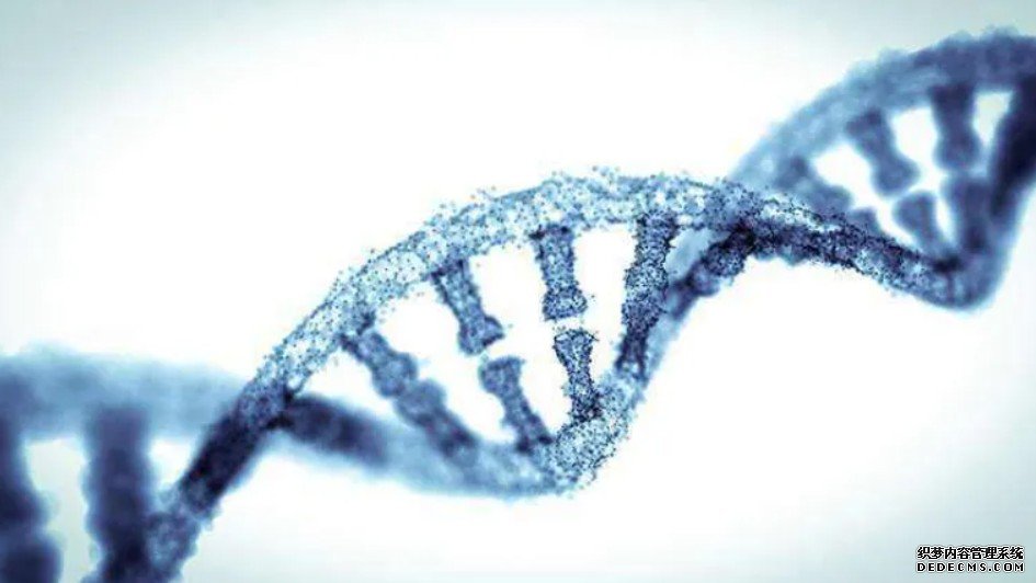 首个庞贝人基因组测序完成杏耀代理