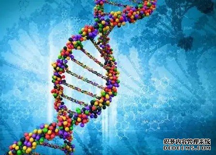 表达基因的首份综杏耀平台合功能图谱发布，将人类基因与其功能一一对应