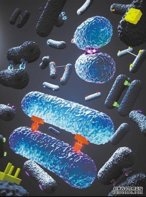 细菌“亲密行为”或解释抗生素耐药性成因杏耀注册