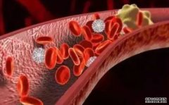 <b>是什么让血管生长？两种蛋白质起关键作用杏耀</b>