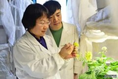 <b>杏耀中国科研团队主办植物科学研究类期刊跃居</b>