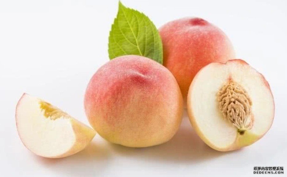 杏耀代理世界过敏性疾病日丨从上百种桃中提取蛋白 破解桃子致敏之谜