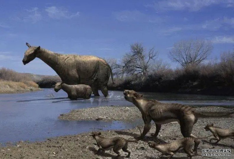 气候变冷让巨犀长成史上体型最大的陆生哺乳动物杏耀