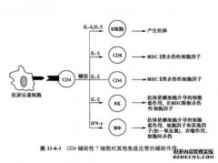 /a/xingyaotupian/2023/0411/10136.html