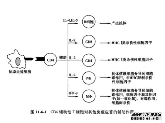 新研究：来自母体的杏耀平台细胞可调控子代免疫系统