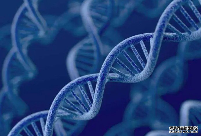 杏耀新发现155个基因表明人类仍在不断进化