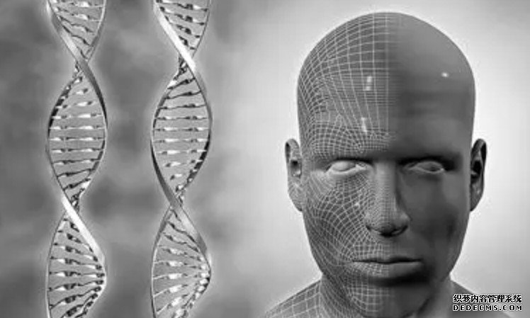 我国科学家找到影响脸型的DNA杏耀注册