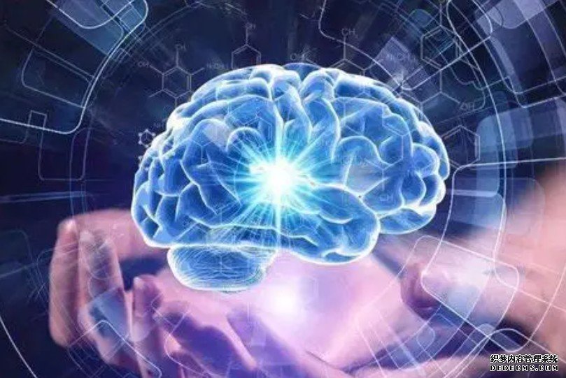 科学家揭示杏耀平台大脑如何读取节律信息