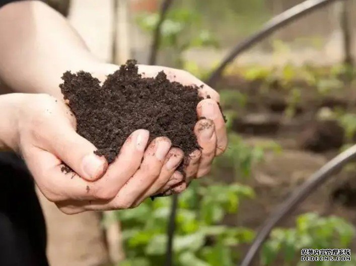 杏耀新方法可使植物塑料降解成肥料