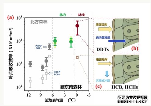 杏耀研究揭示低温地区叶片可吸收更多大气持久性有机污染物