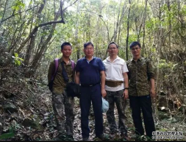 成年植株数量不足百沐鸣注册开户 广东河源发现全球罕见新物种