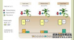 <b>FASE 前沿研究：规模化种植改善香蕉园的田间管理</b>