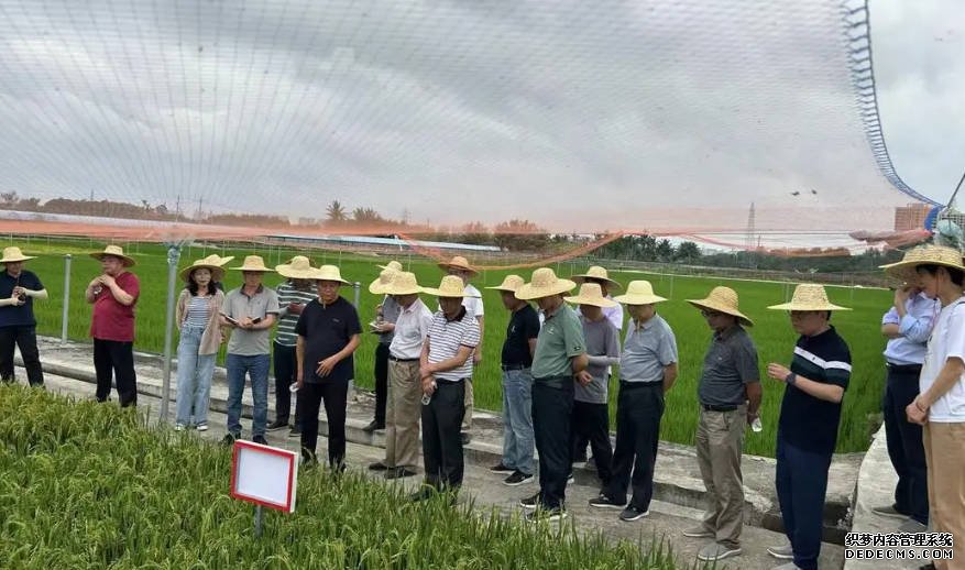 解决种业卡脖子技术，沐鸣注册水稻生物育种全国重点实验室落地无锡