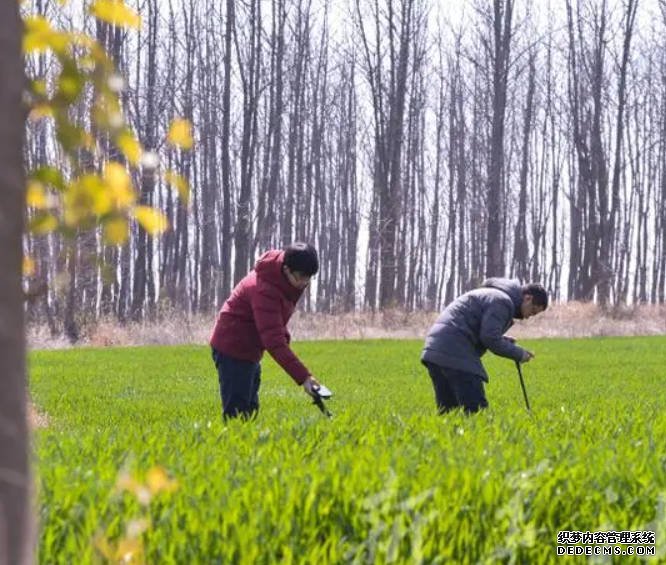 蓝狮代理为了“虫口夺粮” 这群博士对虫子进行“虫脸识别”