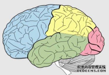 2号站测速大脑中的机制帮助我们在人群中辨别言语