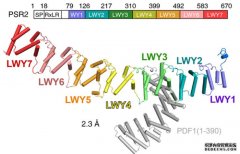 <b>沐鸣注册科学家发现一种病原微生物干扰植物免</b>