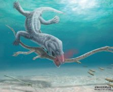 <b>科学家找到首个长颈龙被“斩首”化石证据沐鸣</b>