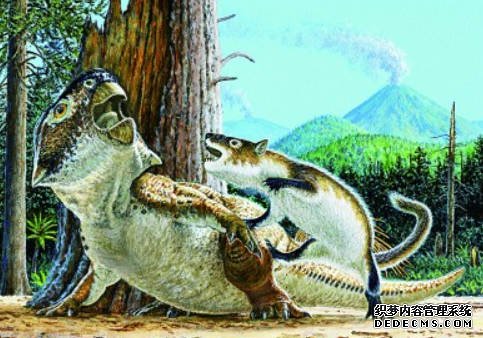 沐鸣哺乳动物攻击恐龙实际证据被发现