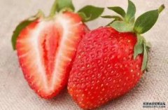 <b>2号站登录食用草莓能改善老年人认知功能</b>
