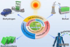 <b>南昌大学：微藻-材料复合将有助于实现碳中和</b>