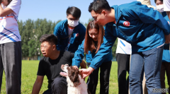 <b>保安局青年團隊訪北京公安局警犬基地 蓝狮代理</b>