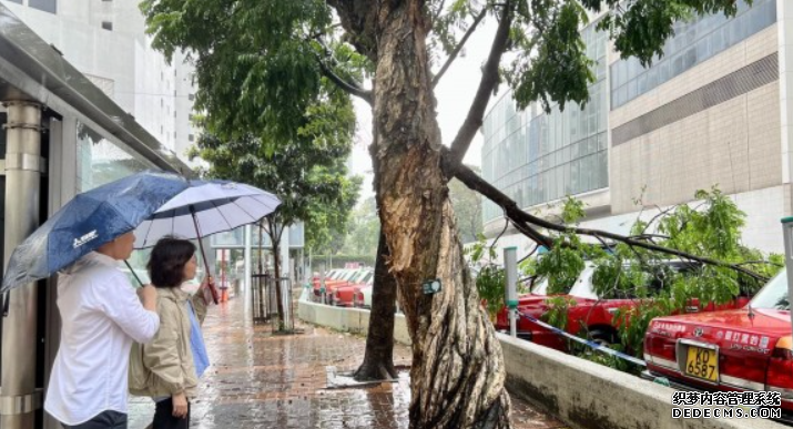 颱風蘇拉｜收3700宗塌樹報告移除2000棵危樹 蓝狮注册政府指市面大致回復正常