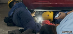 <b>太古城小貓匿Tesla車底被困 消防「瞓身」營救放</b>